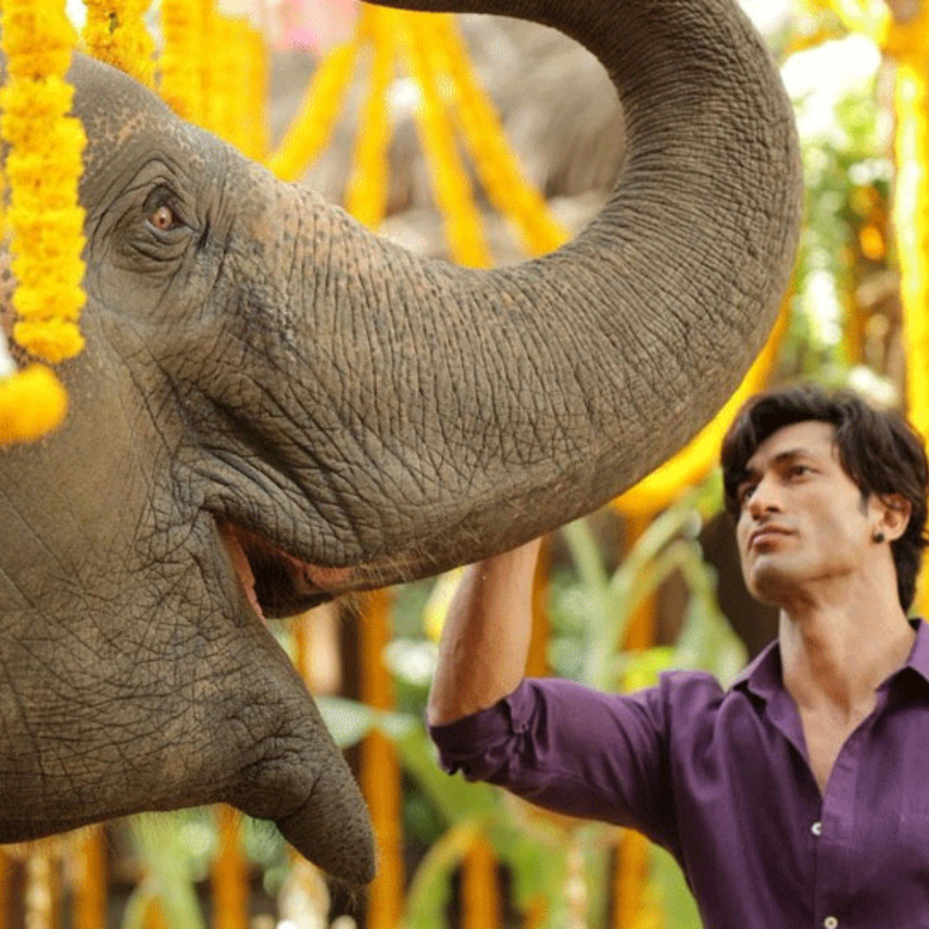 Junglee Movie Review Chuck Russell's Bollywood directorial debut with Vidyut Jammwal falls flat